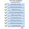 Cast Iron Square Paniyaram Pan | 9-Pit Appam & Paddu Maker |
